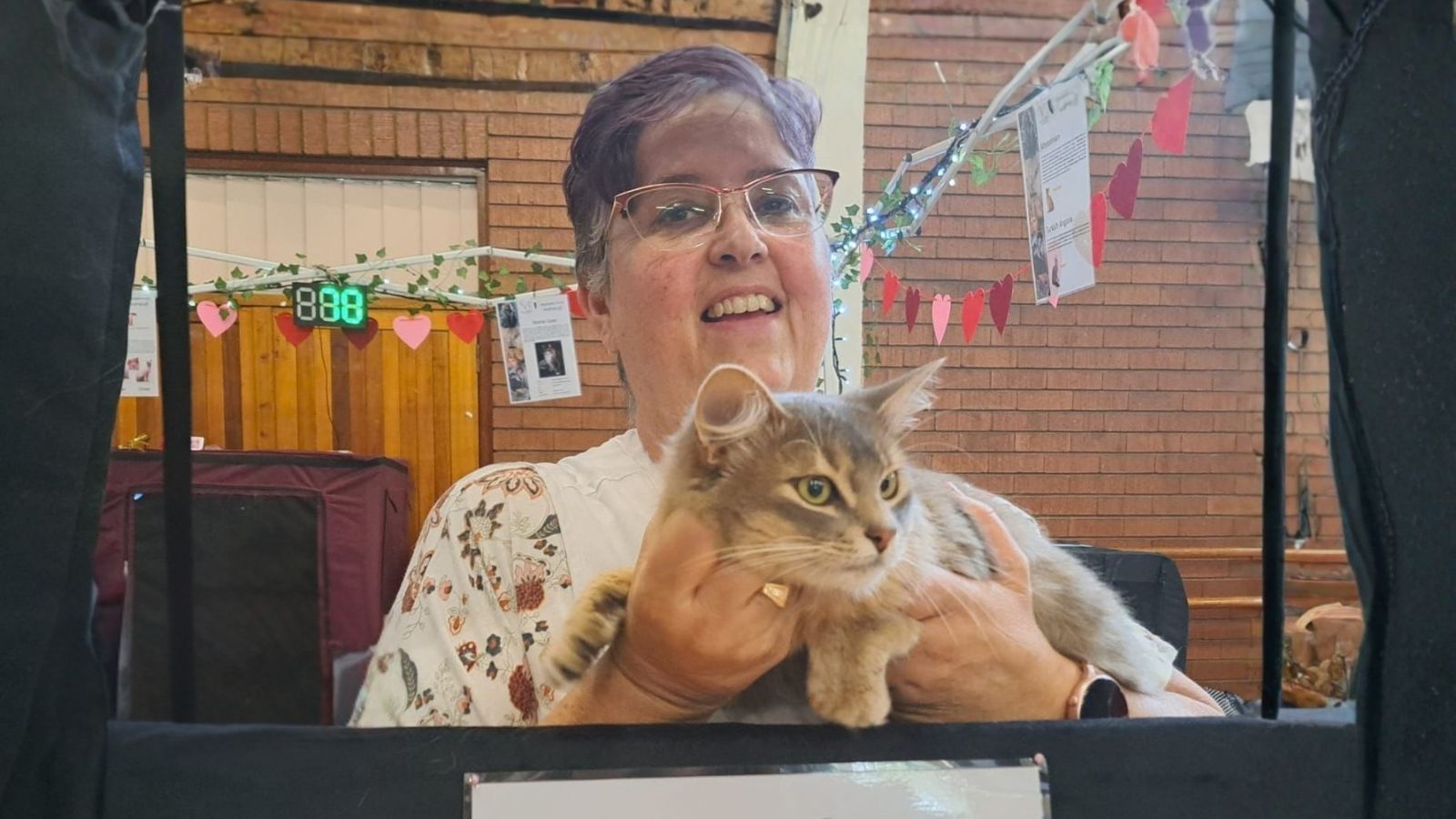 Nikki at a Somali cat show Johannesburg